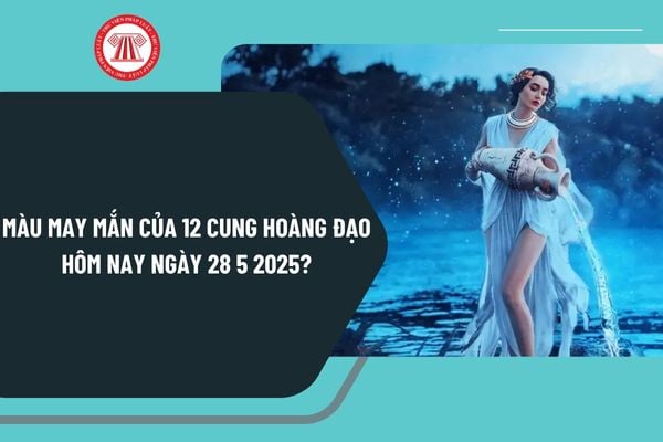 Pháp luật