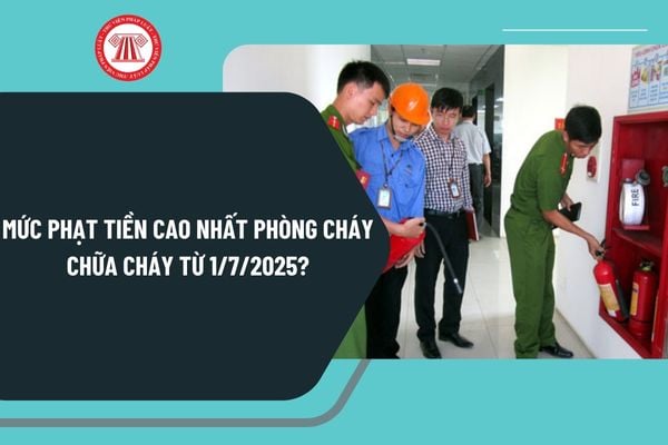 Pháp luật
