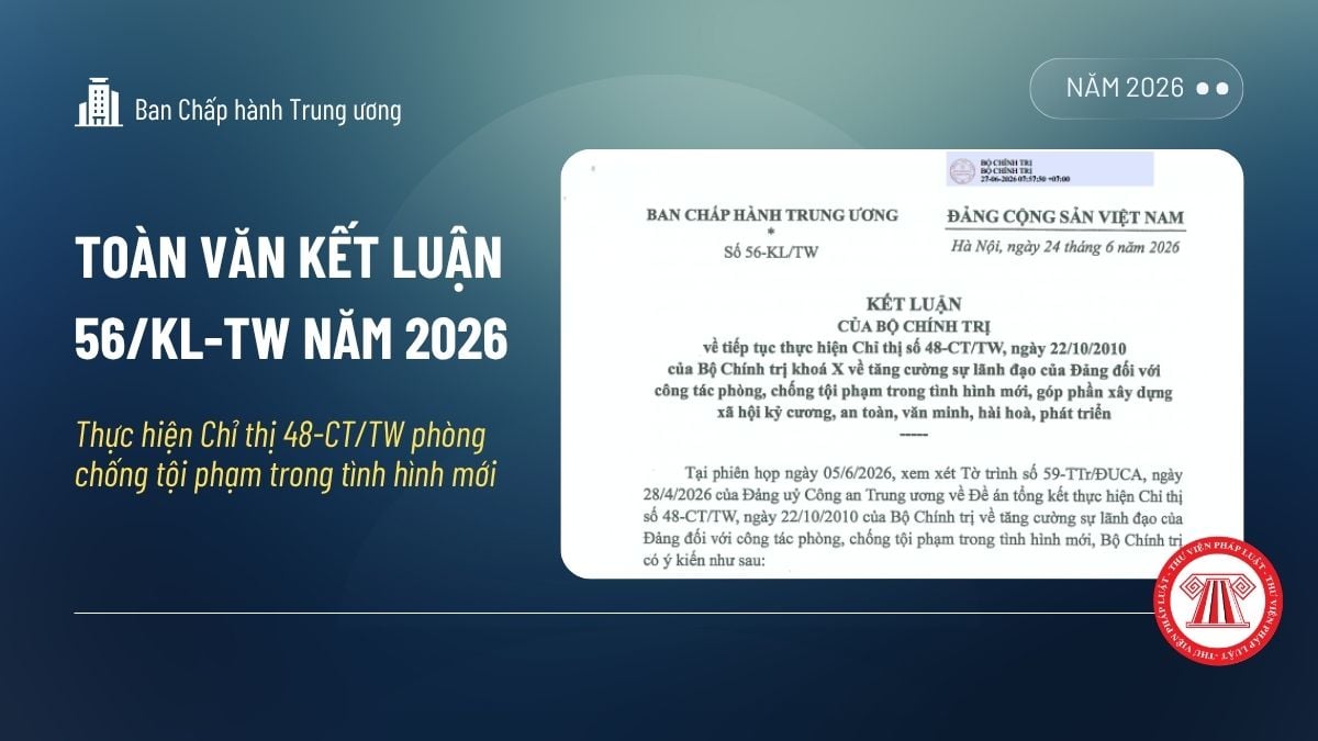 Pháp luật