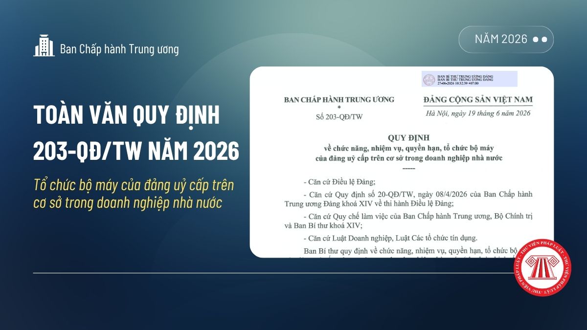 Pháp luật