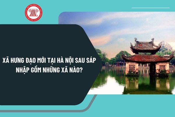 Pháp luật
