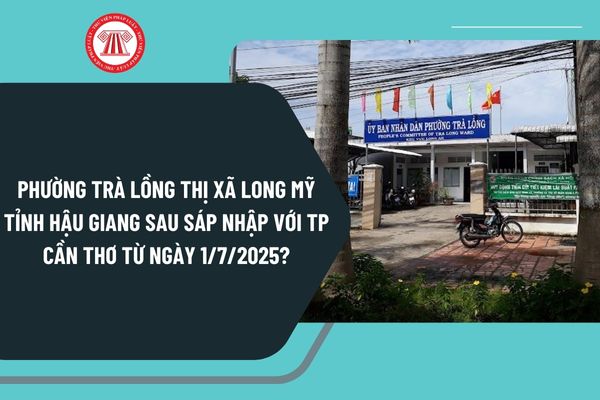 Pháp luật