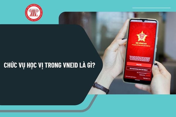 Pháp luật