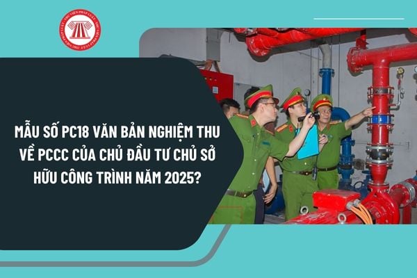 Pháp luật
