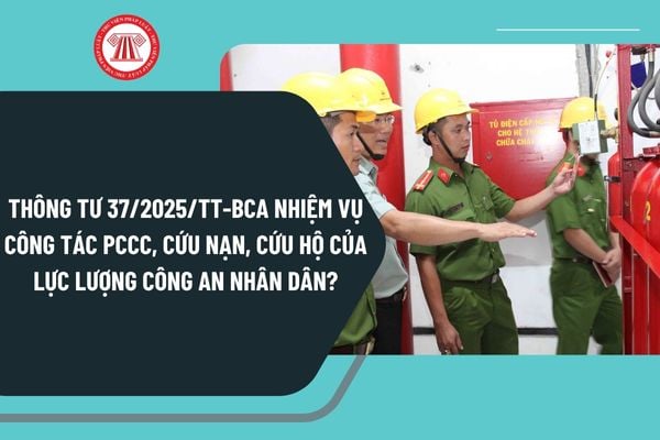 Pháp luật