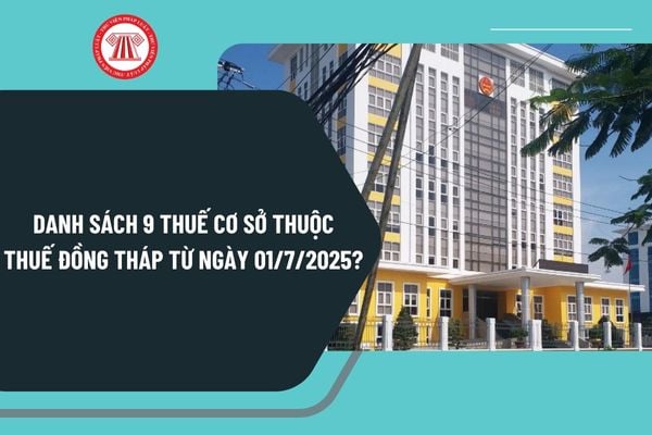 Pháp luật