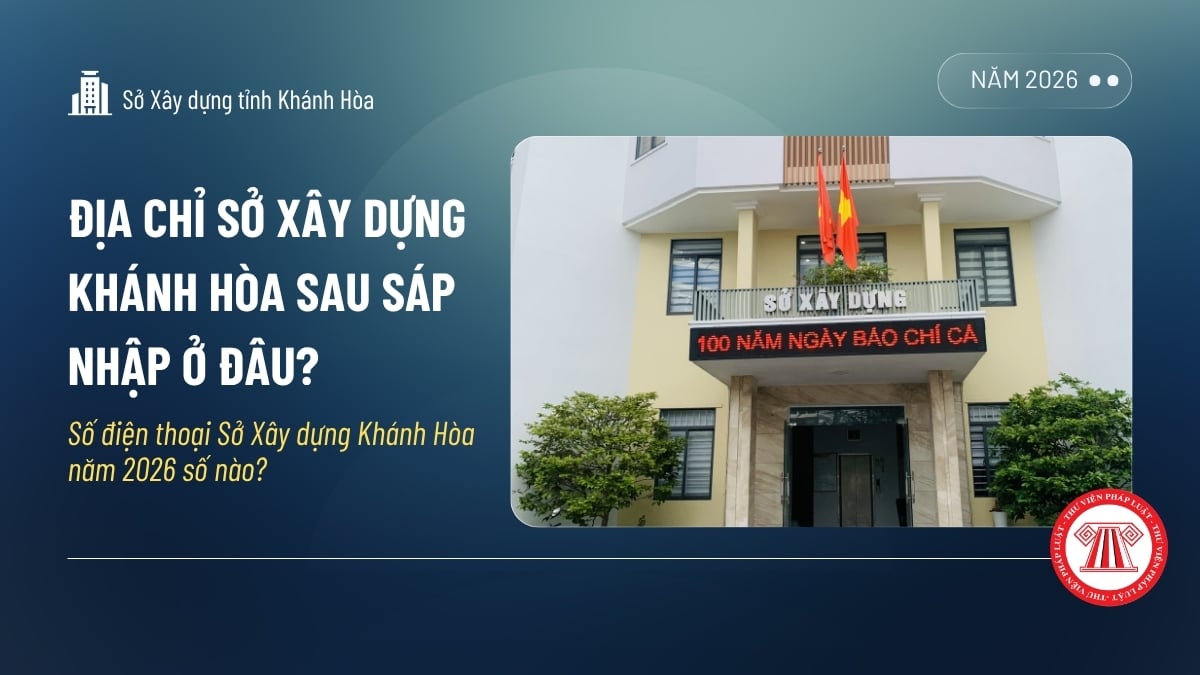 Pháp luật
