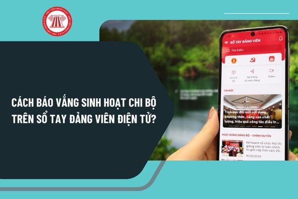 Pháp luật