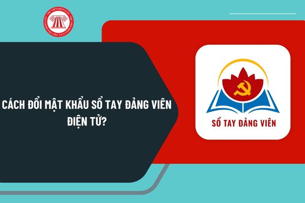 Pháp luật