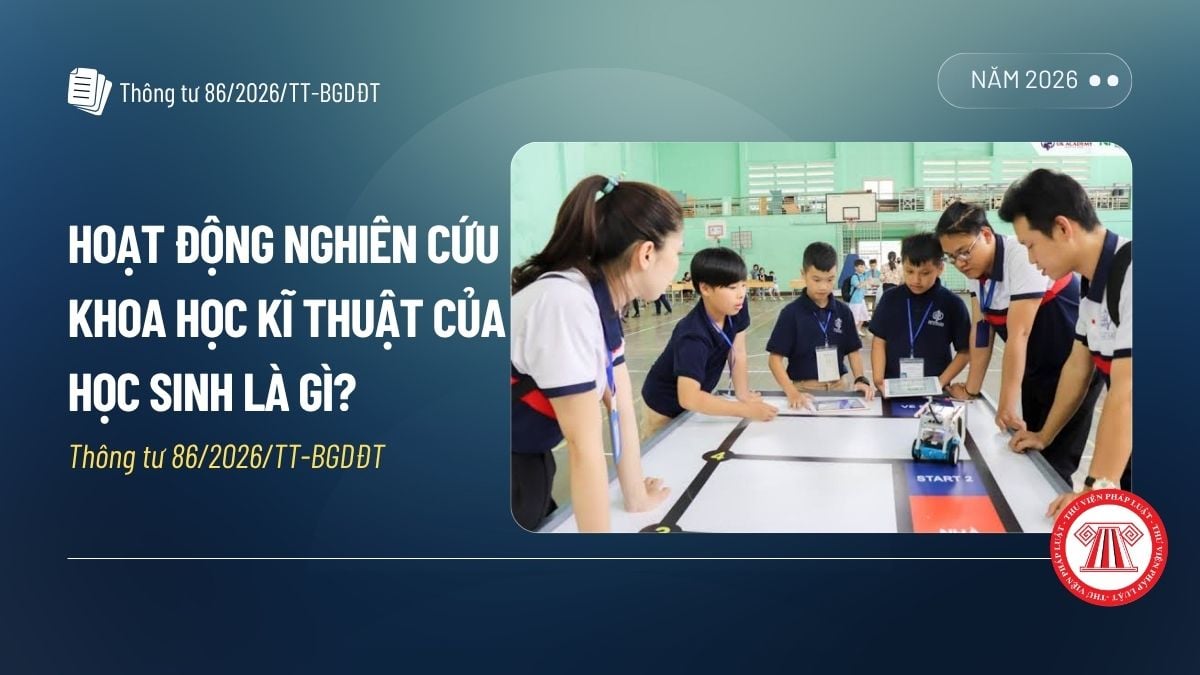 Pháp luật