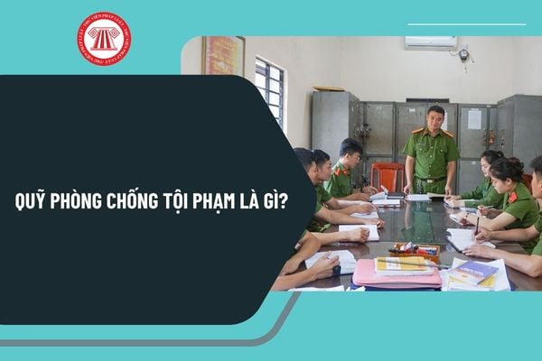 Pháp luật