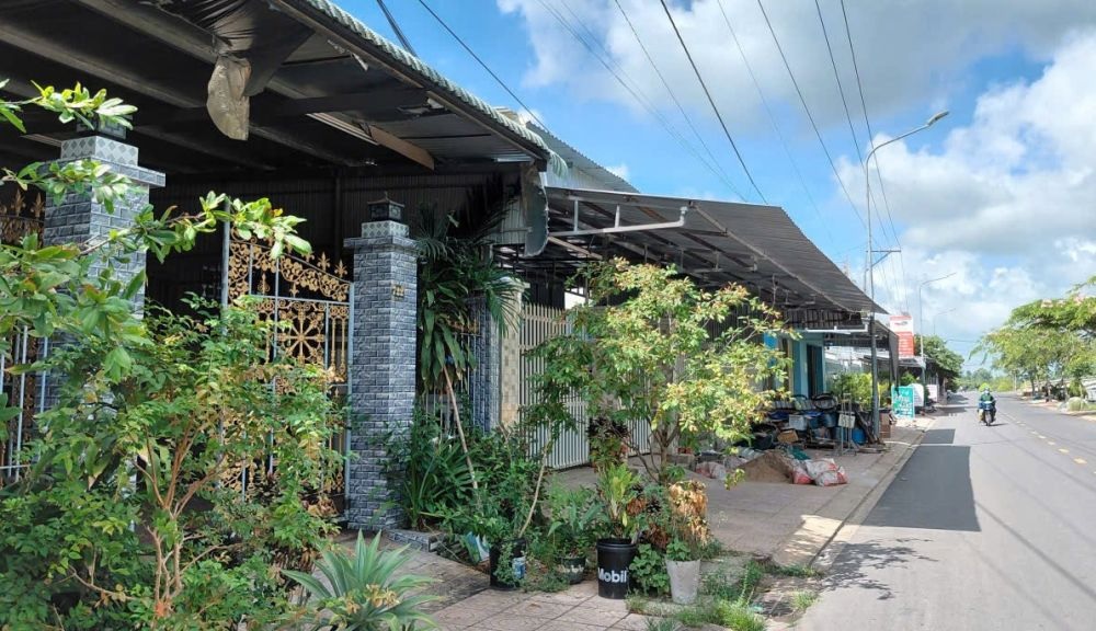 Pháp luật
