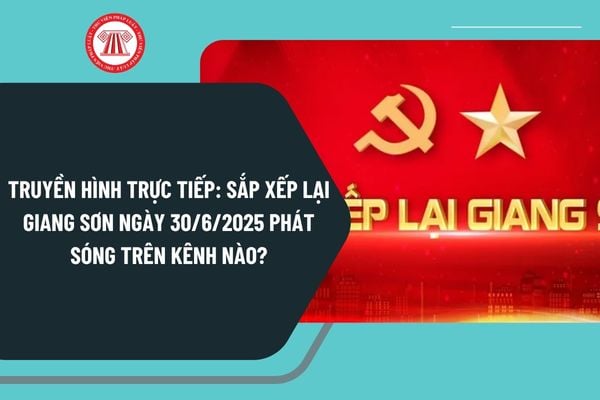 Pháp luật