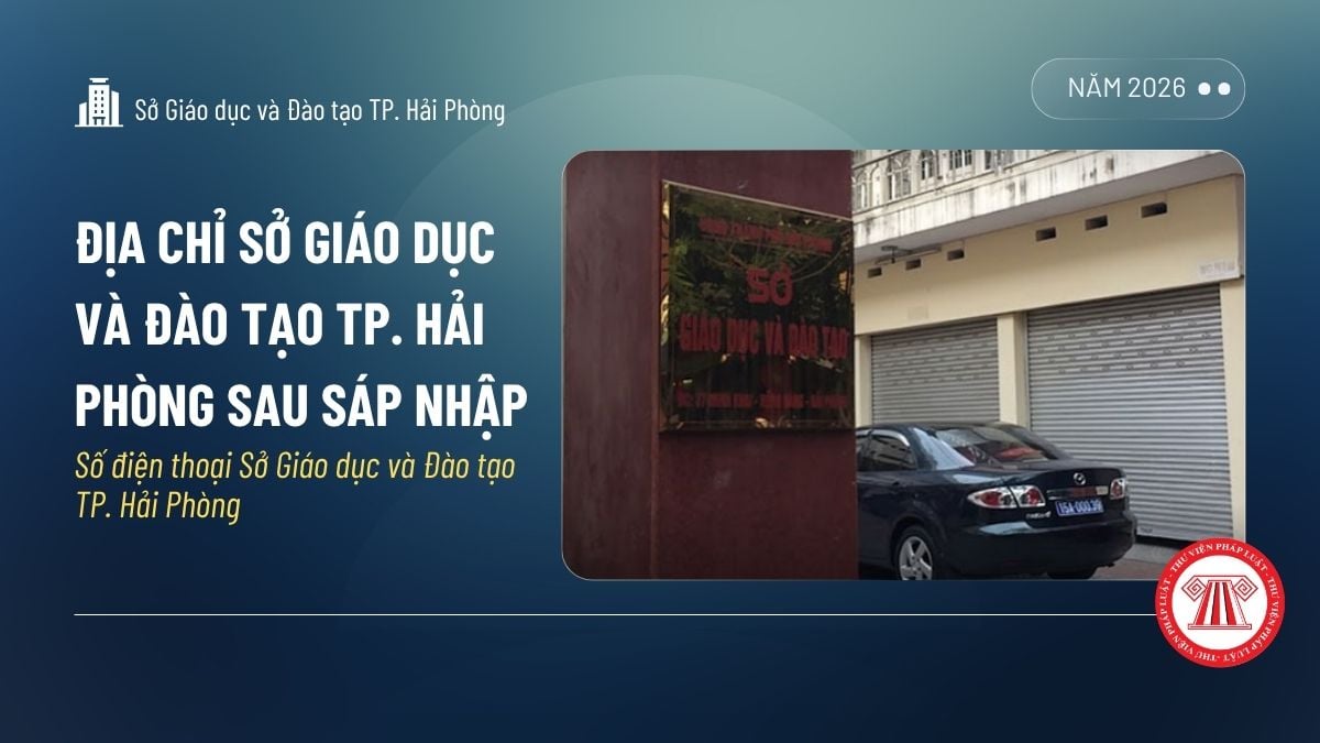 Pháp luật