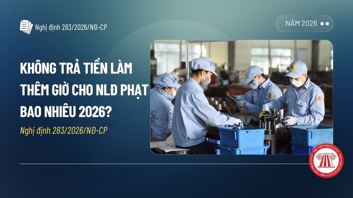 Pháp luật