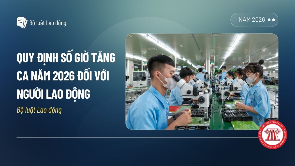 Pháp luật