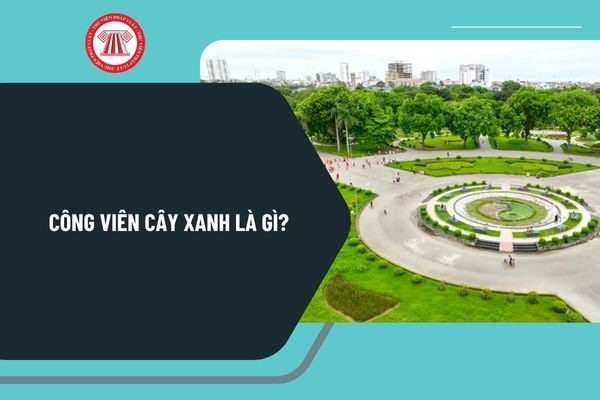 Pháp luật