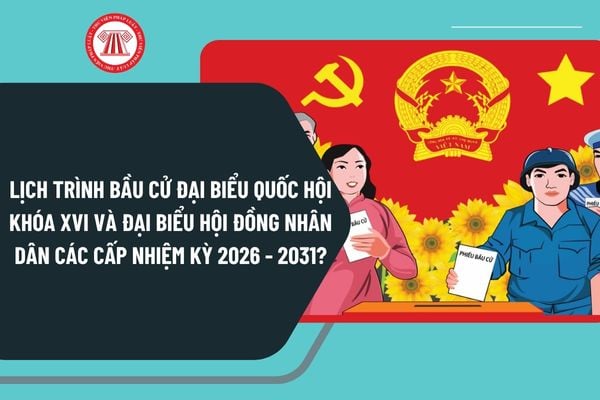 Pháp luật