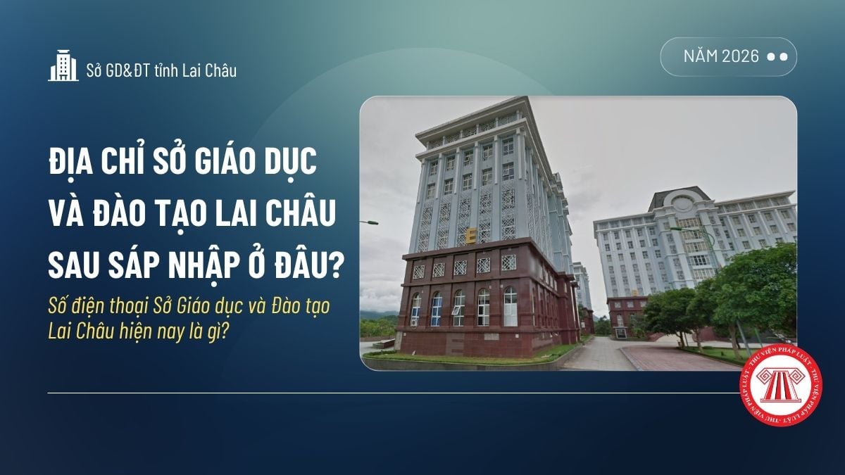 Pháp luật
