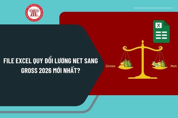 Pháp luật