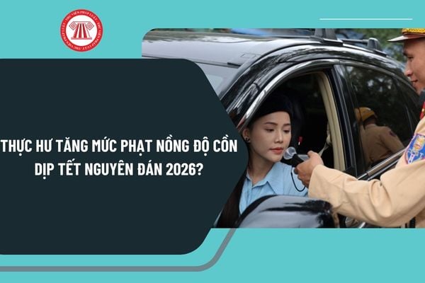Pháp luật