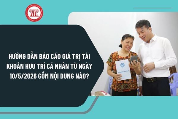 Pháp luật