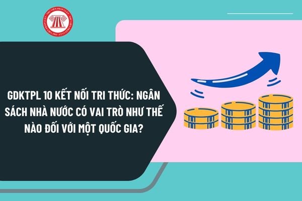 Pháp luật