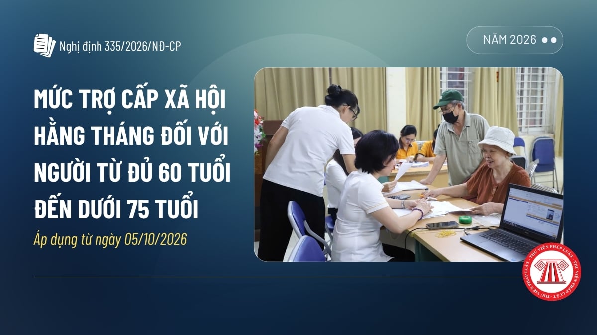 Pháp luật