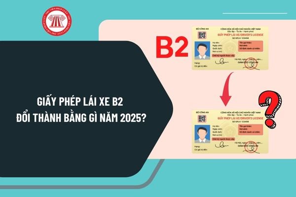 Giấy phép lái xe B2 đổi thành bằng gì năm 2025? Quy định về loại bằng lái xe mới nhất 2025 như thế nào?