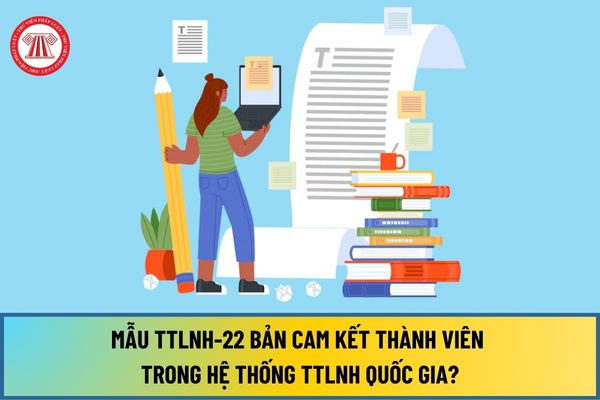 Mẫu TTLNH-22 Bản cam kết thành viên Hệ thống TTLNH Quốc gia sử dụng dịch vụ quyết toán ròng các hệ thống khác ra sao?