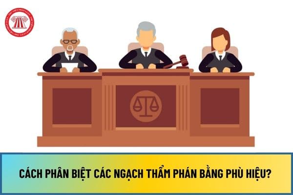 Cách phân biệt các ngạch Thẩm phán bằng phù hiệu? Có bao nhiêu ngạch Thẩm phán Tòa án nhân dân?