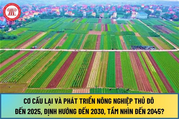 Cơ cấu lại và phát triển nông nghiệp Thủ đô đến 2025, định hướng đến 2030, tầm nhìn đến 2045, giải pháp tại Nghị quyết 15-NQ/TW là gì?