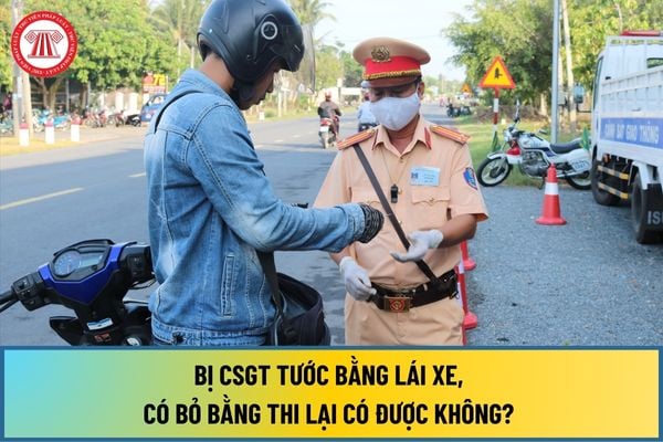 Bị CSGT tước bằng lái xe, có bỏ bằng thi lại có được không? Trường hợp nào thì được cấp mới giấy phép lái xe?