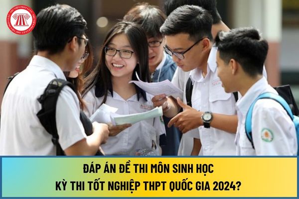 Đáp án đề thi Sinh tốt nghiệp THPT Quốc gia 2024? Xem và tải đáp án đề thi môn Sinh năm 2024 ở đâu?
