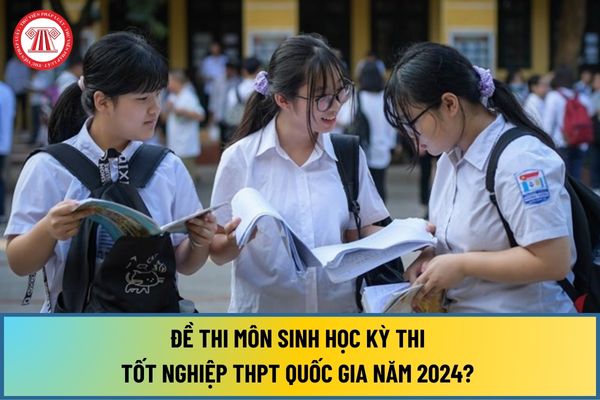 Đề thi Sinh tốt nghiệp THPT quốc gia năm 2024? Xem và tải đề thi Sinh học tốt nghiệp THPT 2024 ở đâu?