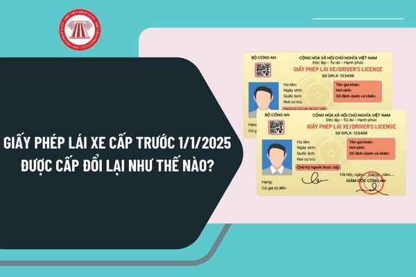 Giấy phép lái xe cấp trước 1 1 2025 được cấp đổi lại hạng nào? Năm 2025, có những hạng giấy phép lái xe nào?