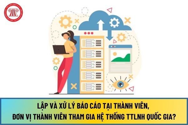 Hướng dẫn lập và xử lý báo cáo tại thành viên, đơn vị thành viên tham gia Hệ thống TTLNH Quốc gia từ 15/8/2024?