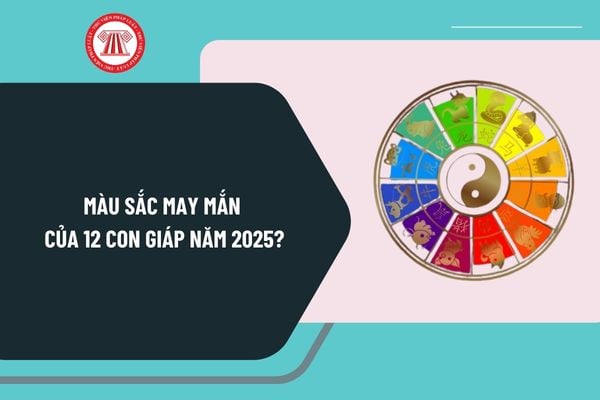 Màu sắc may mắn của 12 con giáp năm 2025? Xem màu may mắn 2025 theo năm sinh? Màu may mắn 2025 theo ngũ hành?