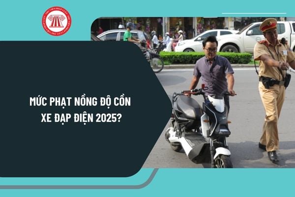 Mức phạt nồng độ cồn xe đạp điện 2025? Nồng độ cồn xe đạp điện có mức phạt cao nhất là bao nhiêu 2025?