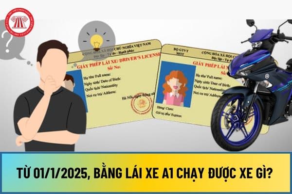 Từ 1/1/2025, bằng lái xe A1 chạy được xe gì? Giấy phép lái xe bao gồm các hạng nào từ 1/1/2025?