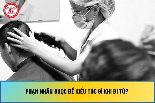 Phạm nhân được để kiểu tóc gì khi đi tù? Những hành vi nào bị nghiêm cấm đối với phạm nhân?