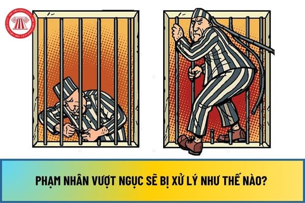 Phạm nhân vượt ngục sẽ bị xử lý như thế nào? Trường hợp phạm nhân bỏ trốn giải quyết ra sao?