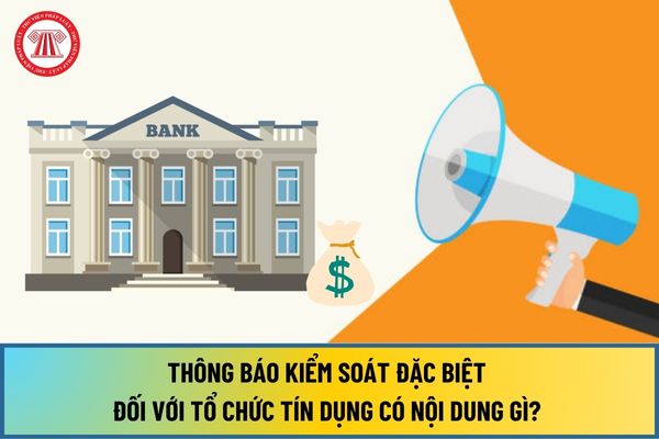 Từ 01/7/2024, thông báo kiểm soát đặc biệt đối với tổ chức tín dụng có nội dung gì? Gửi thông báo kiểm soát đặc biệt cho ai?