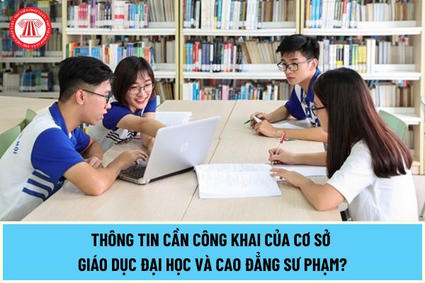 Thông tin cần công khai của cơ sở giáo dục Đại học và Cao đẳng sư phạm để đủ điều kiện bảo đảm chất lượng đào tạo, nghiên cứu từ 19/7/2024?