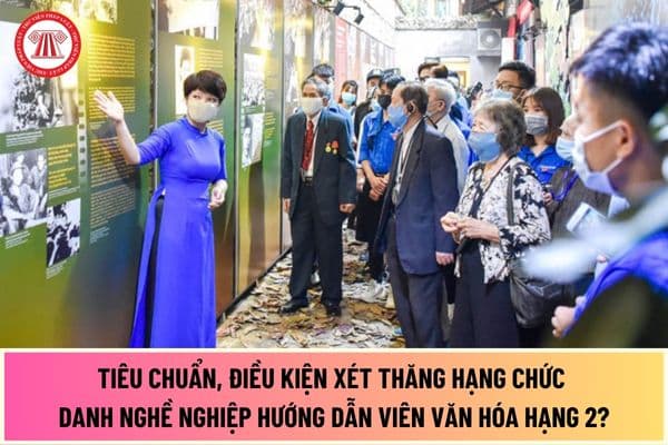 Tiêu chuẩn, điều kiện xét thăng hạng chức danh nghề nghiệp hướng dẫn viên văn hóa hạng 2 từ ngày 01/8/2024 như thế nào?