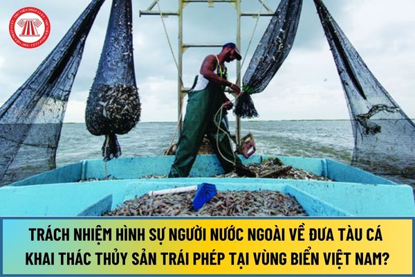 Truy cứu trách nhiệm hình sự người nước ngoài về hành vi đưa tàu cá khai thác thủy sản trái phép tại vùng biển Việt Nam mới nhất 2024?