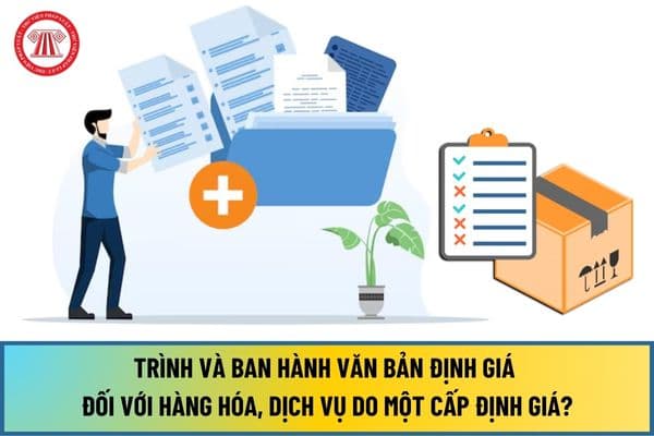 Trình và ban hành văn bản định giá đối với trường hợp hàng hóa, dịch vụ do một cấp định giá từ 10/7/2024 thực hiện ra sao?