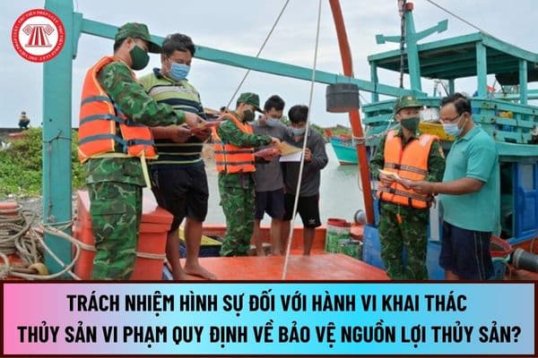 Hướng dẫn truy cứu trách nhiệm hình sự đối với hành vi khai thác thủy sản vi phạm quy định về bảo vệ nguồn lợi thủy sản từ ngày 01/8/2024?