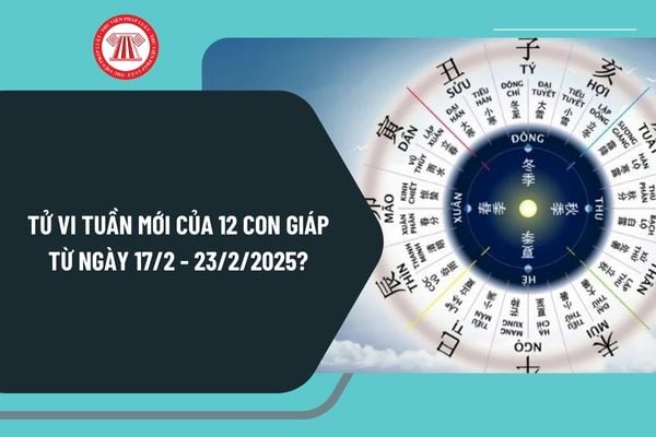 Tử vi tuần mới của 12 con giáp 17 2 - 23 2 2025? Tử vi tuần mới chính xác nhất từ ngày 17 2 - 23 2 2025 ra sao?