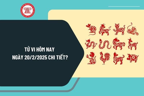 Tử vi ngày 20 2 2025 chi tiết? Xem tử vi ngày 20 2 2025? Tử vi ngày 20 tháng 2 năm 2025? Xem tử vi 12 con giáp 20 2 2025?